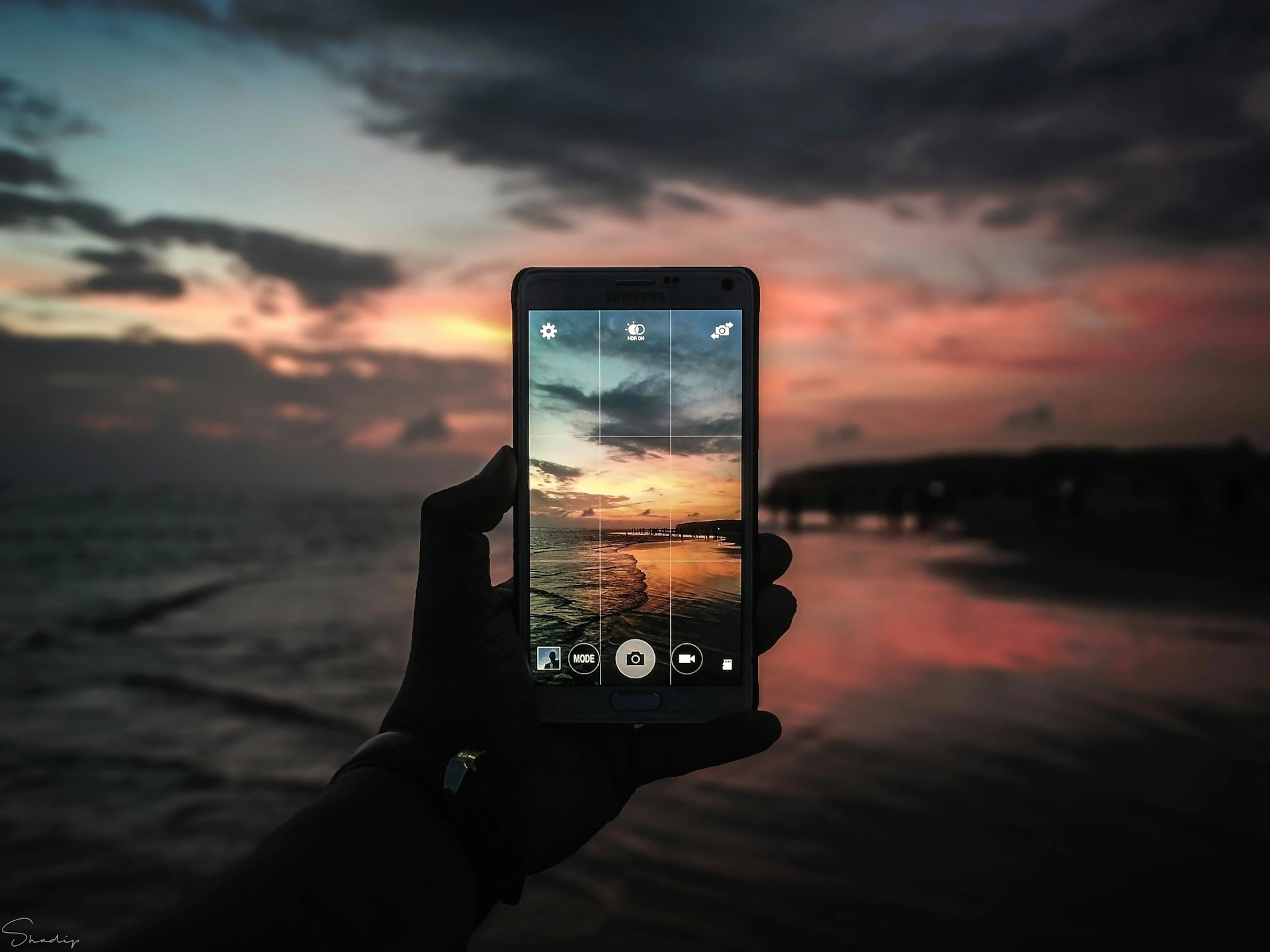 تطبيق Bluesky لمشاركة الصور الآن متاح على متجر التطبيقات